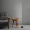 Мінімалістичний та стильний торшер Pipeline Floor lamp